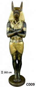 C009