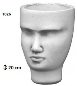 T026
