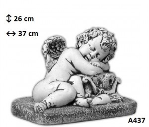 A437